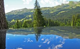 001 - das wetter steht kopf